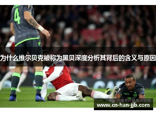 为什么维尔贝克被称为黑贝深度分析其背后的含义与原因